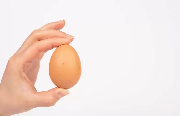 Organic egg in between fingers of a woman