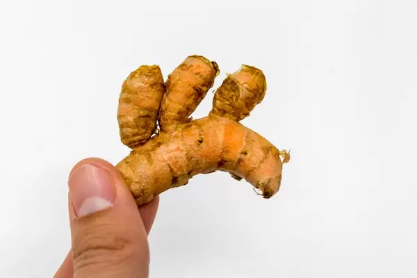 Organic turmeric root hold in hand