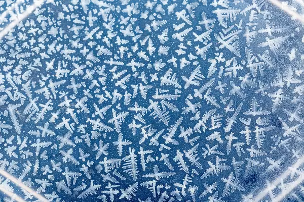 Ornate frost pattern on frosted surface