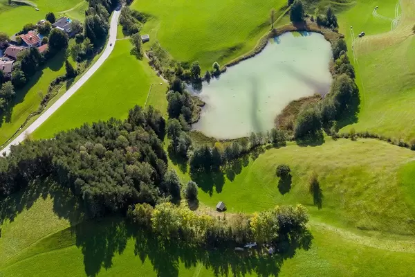 Overhead drone shot of green landscape with trees and lake Frauensee with light green waters in Austria