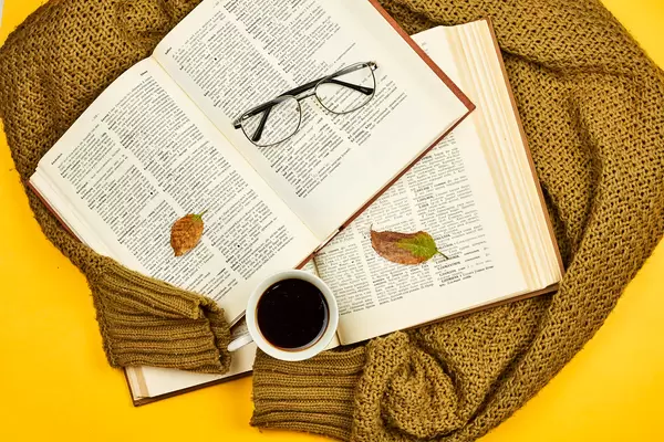 Overhead view of opened books on knitted sweater and coffee mug