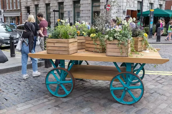 Ox cart with boxes with flowers
