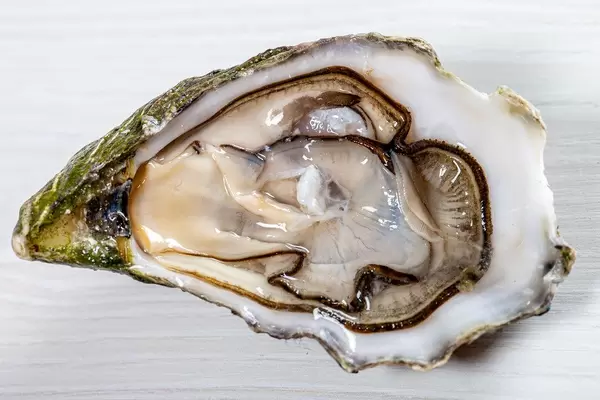 Oysters Fresh Seafood (Flip 2019)