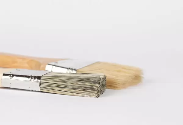 Paint brushes prepared for painting  Flip 2019