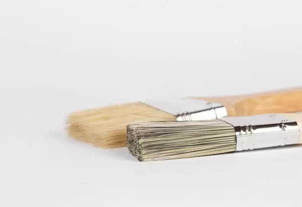 Paint brushes prepared for painting
