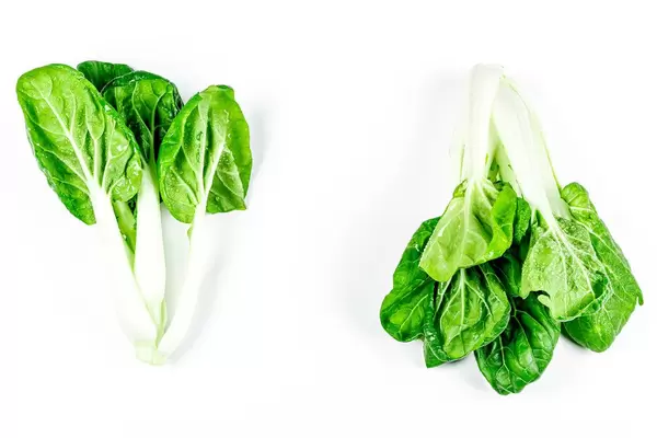 Pak Choi Gemüse von oben fotografiert auf weißem Hintergrund