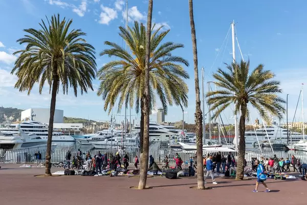 Palm Promenade and flea market in front of a yacht harbour at Passeig de Joan de Borbó in Barcelona, Spain