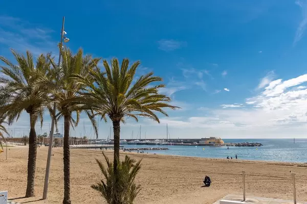Palmen am gelben Sandstrand Platja del Somorrostro an der Mittelmeerküste von Barcelona, Spanien