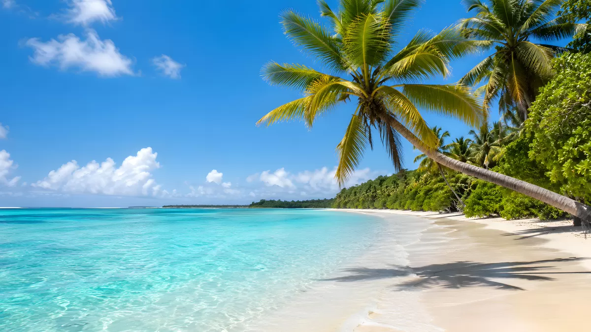 Palmen am tropischen Strand im türkisblauen Meer