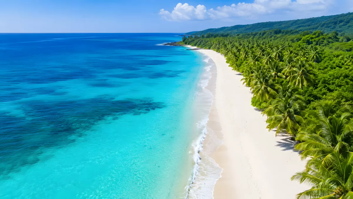 Palmen am weißen Strand mit türkisem Meer