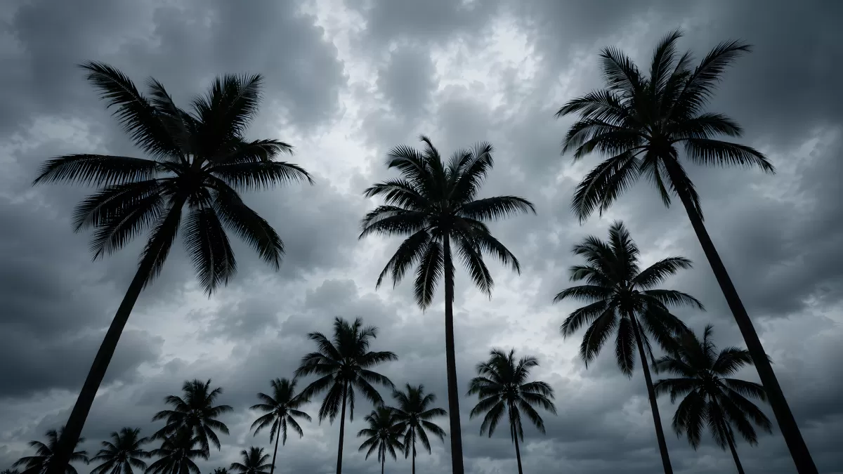 Palmensilhouetten vor dramatisch bewölktem Himmel