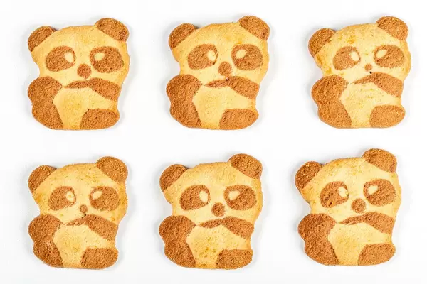 Panda cookies on a white background, top view