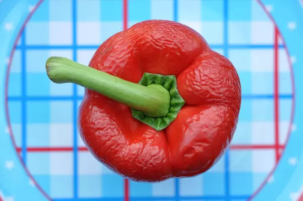 Paprika: 11 Tage alt