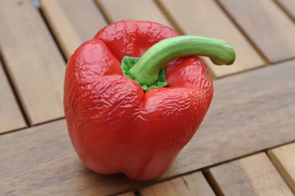 Paprika: 14 Tage alt