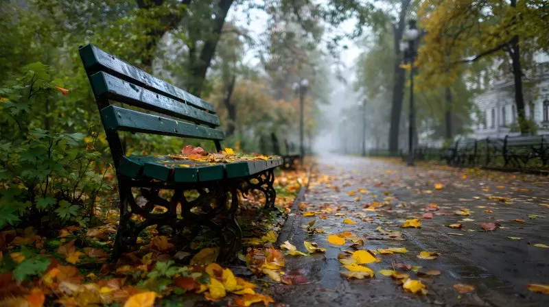 Parkbank im bunten Herbstlaub mit fallenden Blättern im Stadtpark