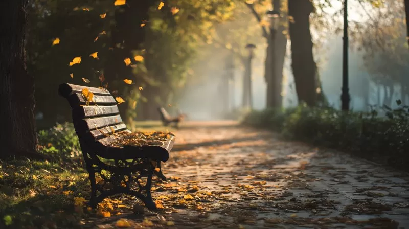 Parkbank im Herbst mit fallendem Laub im Morgenlicht