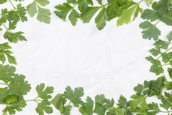 Parsley leaf frame with copy space
