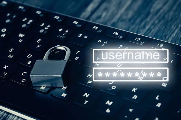 Password protection against hackers