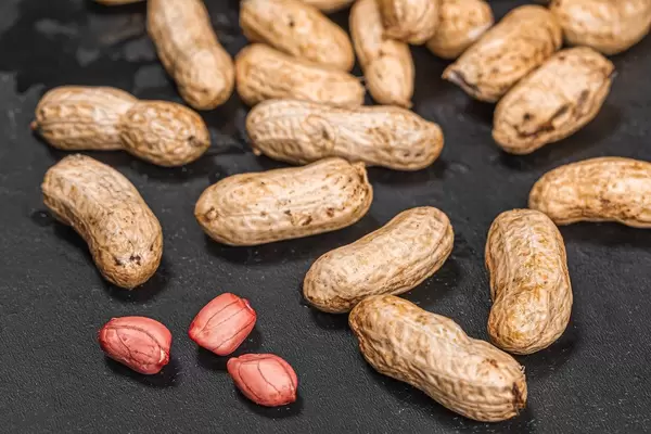 Peanuts raw in shell and peeled peanut kernels