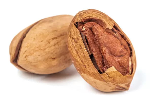 Pecan nuts close up on white