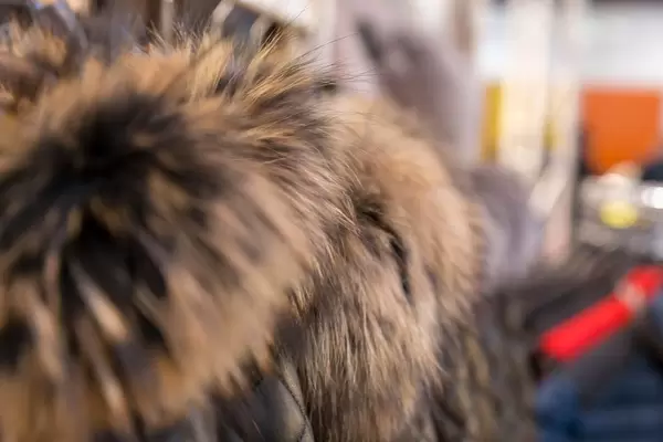 Pelzjacken bei der Boot Düsseldorf 2018