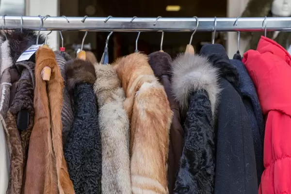 Pelzkleidung auf Kleiderbügeln zum Verkauf in einem Geschäft