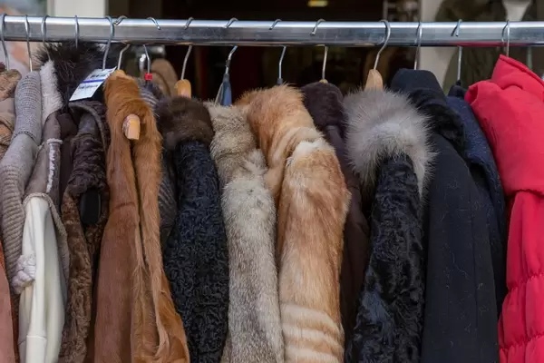 Pelzmäntel auf einem Kleiderständer