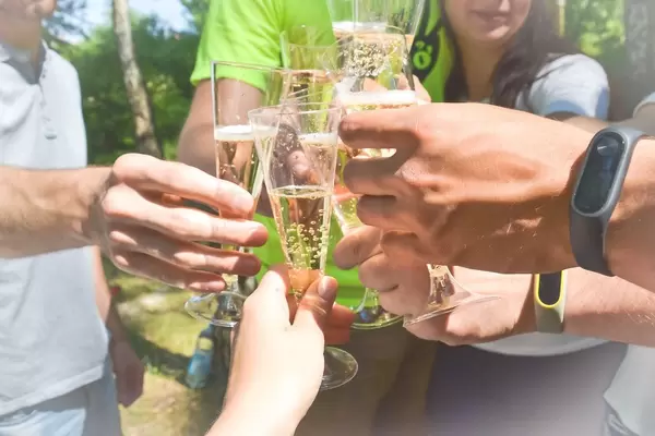People cheering with champagne glasses on a summer day in the forest