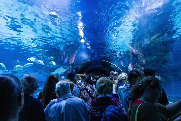 People watching fishes in Tropicarium Budapest