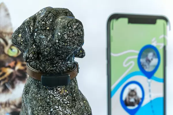 Pet collar with tracking device: "tractive" GPS tracking for dogs and cats