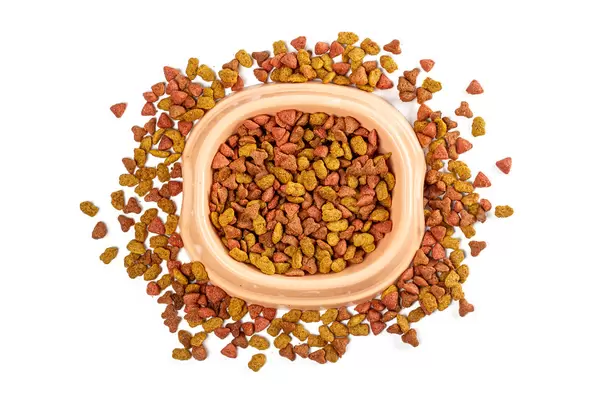 Pet food in bowl and scattered on white background, top view