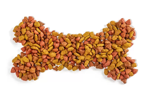 Pet food on white in the shape of a bone