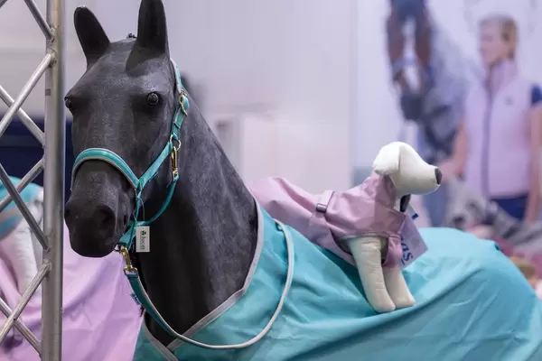 Pferdedecke und Hundebekleidung