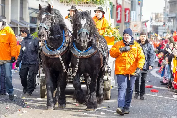 Pferdewagen der Nippser Bürgerwehr beim Rosenmontagszug - Kölner Karneval 2018