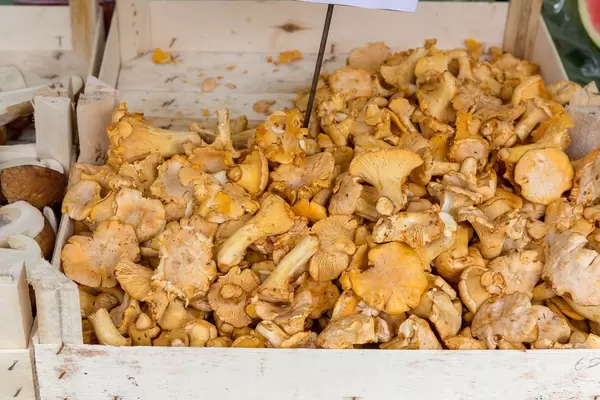 Pfifferlinge an einem Gemüsestand am Naschmarkt