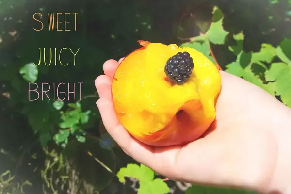 Pfirsich und Blaubeere