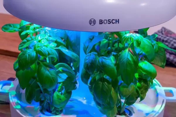 Pflanzenlicht von Bosch