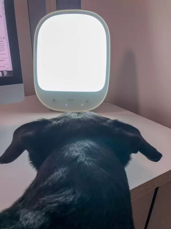 Philips HF3419/01 EnergyUp White Tageslichtlampe mit Hund