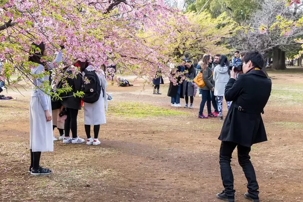 Photo Shooting im Yoyogi Park Tokio