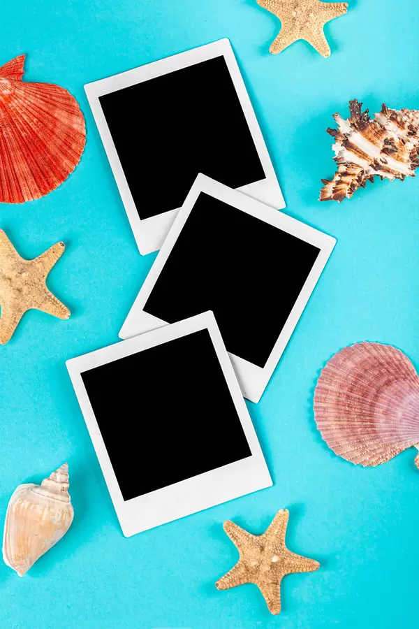 Photos among starfishes and seashells on a blue background, top view