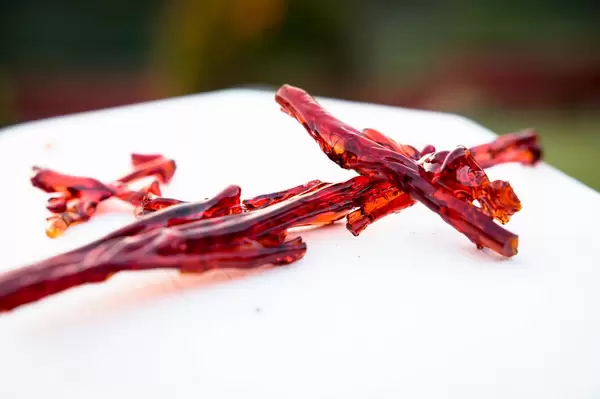 Pieces of tree resin