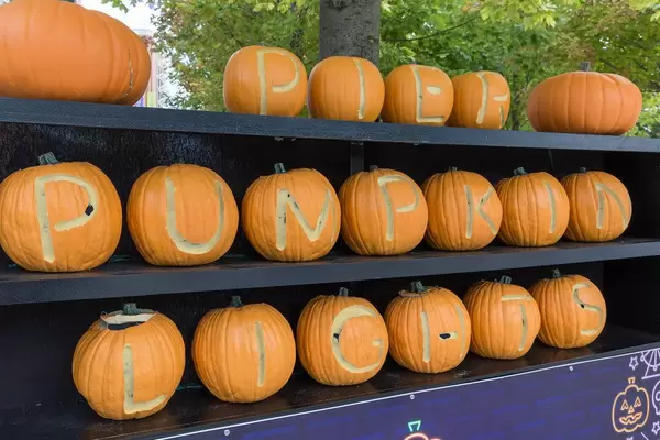 Pier Pumpkin Lights for Halloween
