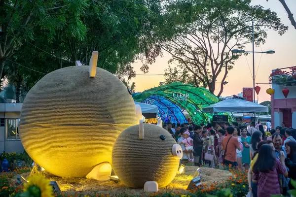 Pig Decorations for the Year of the Pig in Lunar Calendar in Vietnam