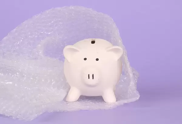 Piggy bank packed in bubble wrap