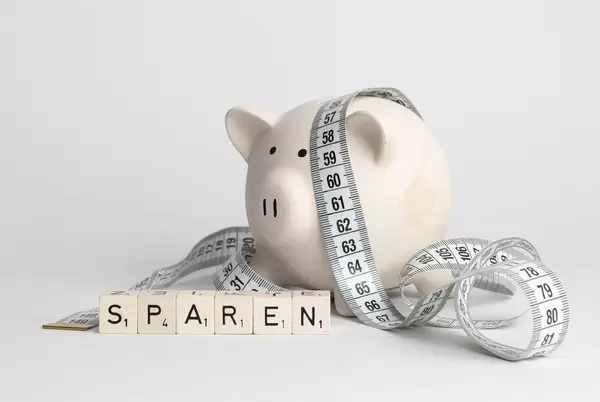 Piggy bank with German word Sparen