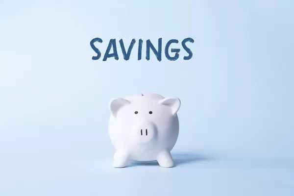 Piggy bank with Savings text on light blue background