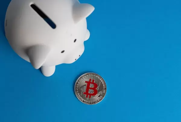 Piggy bank with silver Bitcoin