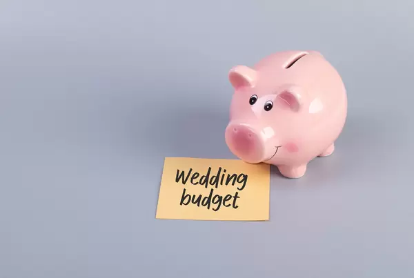 Piggybank with Wedding Budget text