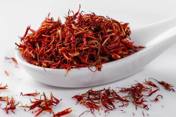 Pile of red dried saffron in ceramic spoon