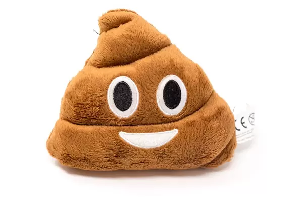 Pillow with face of the pile of poo - Emoji, with white background